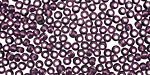 TOHO Amethyst (with Silver Lining) Round 8/0 Seed Bead