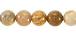 Indonesian Fossil Coral Round 10mm