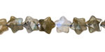Labradorite Microfaceted Star 8mm