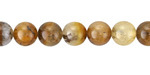 Golden Wooden Jasper Round 8mm