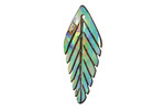 Abalone Carved Diamond Feather Focal 29x12mm