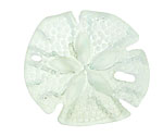 Seafoam Beach-Style Glass Sand Dollar 39mm