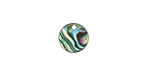 Abalone Coin Focal 10mm