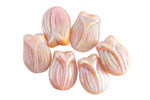 Czech Glass Peppermint Twist AB Tulip 16x12mm
