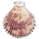 Colorful Pectin Scallop Medium Pendant w/ Silver Finish 37-48x41-50mm