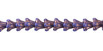Czech Glass Bronzed Indigo 5 Point Bellflower 5x6mm