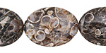 Turritella Agate Flat Oval 25x18mm