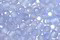 TOHO RE:Glass (Matte) Transparent Blue Round 8/0 Seed Bead