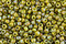 TOHO Semi-Glazed Rainbow Olive Round 15/0 Seed Bead