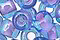 TOHO Aqua (with Bubble Gum Pink Lining) Round 6/0 Seed Bead