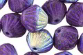 Czech Glass Electric Purple AB Textured Lined Bicone 10x11mm
